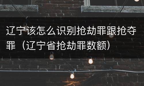 辽宁该怎么识别抢劫罪跟抢夺罪（辽宁省抢劫罪数额）