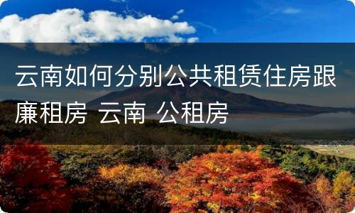 云南如何分别公共租赁住房跟廉租房 云南 公租房