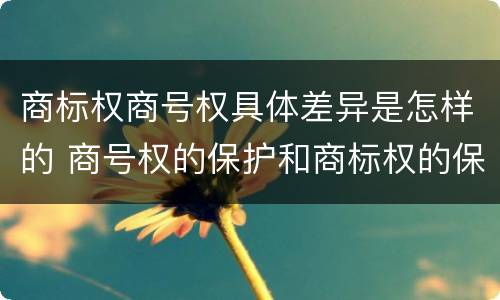 商标权商号权具体差异是怎样的 商号权的保护和商标权的保护一样是全国性范围的