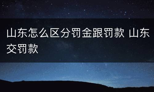 山东怎么区分罚金跟罚款 山东交罚款