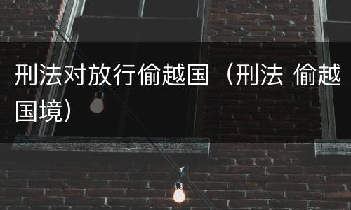 刑法对放行偷越国（刑法 偷越国境）