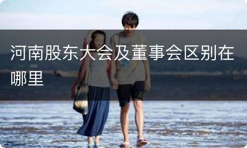 河南股东大会及董事会区别在哪里