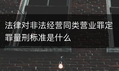 法律对非法经营同类营业罪定罪量刑标准是什么