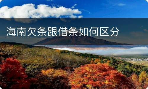 海南欠条跟借条如何区分