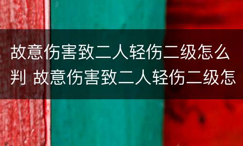 故意伤害致二人轻伤二级怎么判 故意伤害致二人轻伤二级怎么判