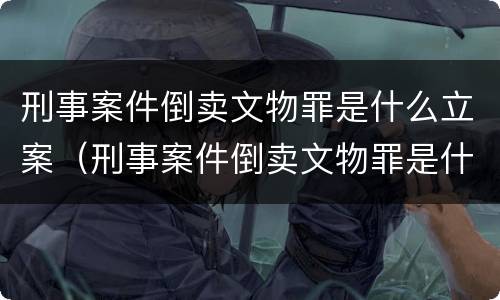 刑事案件倒卖文物罪是什么立案（刑事案件倒卖文物罪是什么立案的）