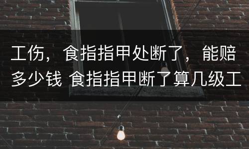 工伤，食指指甲处断了，能赔多少钱 食指指甲断了算几级工伤