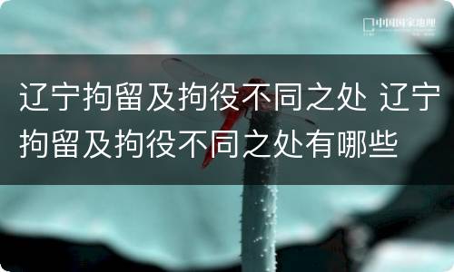 辽宁拘留及拘役不同之处 辽宁拘留及拘役不同之处有哪些