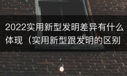 2022实用新型发明差异有什么体现（实用新型跟发明的区别）