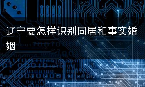 辽宁要怎样识别同居和事实婚姻