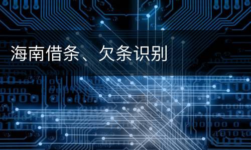 海南借条、欠条识别