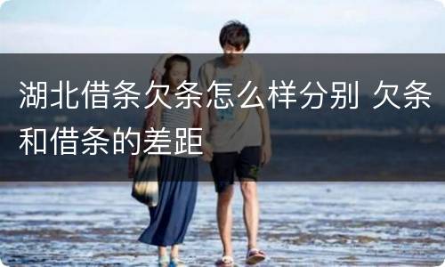 湖北借条欠条怎么样分别 欠条和借条的差距