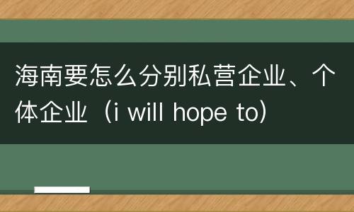 海南要怎么分别私营企业、个体企业（i will hope to）