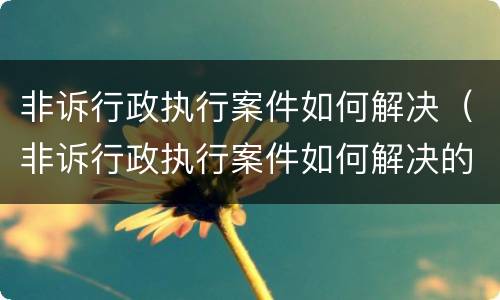 非诉行政执行案件如何解决（非诉行政执行案件如何解决的）