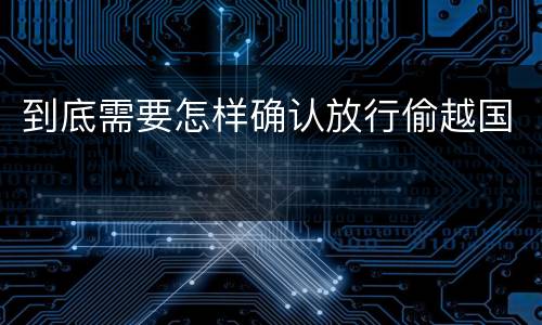 到底需要怎样确认放行偷越国