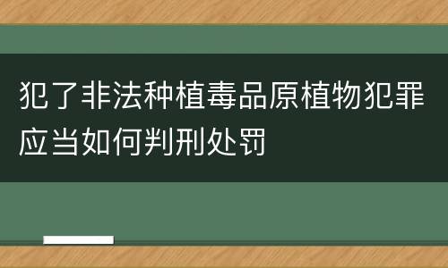 犯了非法种植毒品原植物犯罪应当如何判刑处罚