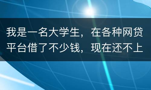我是一名大学生，在各种网贷平台借了不少钱，现在还不上，如果不还会怎么样