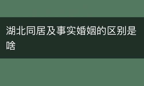 湖北同居及事实婚姻的区别是啥