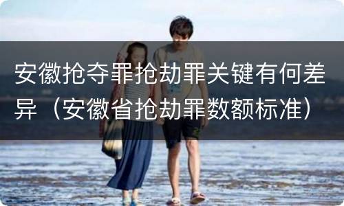 安徽抢夺罪抢劫罪关键有何差异（安徽省抢劫罪数额标准）