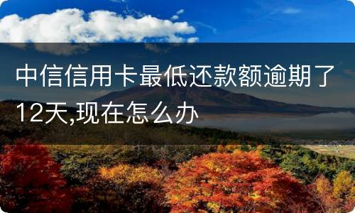中信信用卡最低还款额逾期了12天,现在怎么办