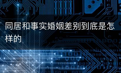 同居和事实婚姻差别到底是怎样的