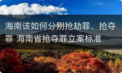 海南该如何分别抢劫罪、抢夺罪 海南省抢夺罪立案标准
