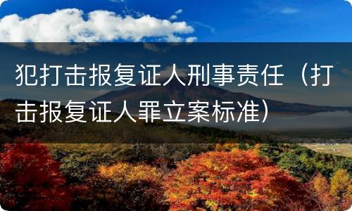 犯打击报复证人刑事责任（打击报复证人罪立案标准）