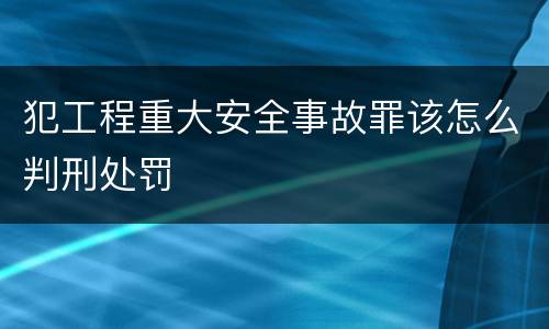 犯工程重大安全事故罪该怎么判刑处罚