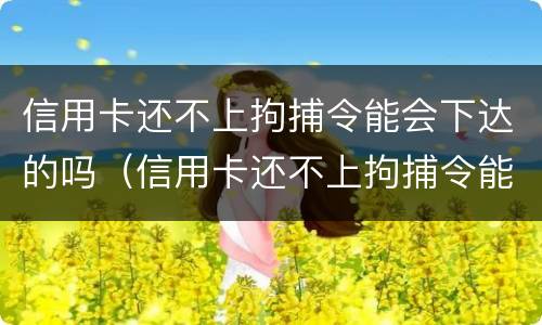 信用卡还不上拘捕令能会下达的吗（信用卡还不上拘捕令能会下达的吗知乎）