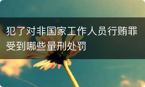 犯了对非国家工作人员行贿罪受到哪些量刑处罚