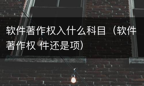 软件著作权入什么科目（软件著作权 件还是项）