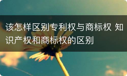 该怎样区别专利权与商标权 知识产权和商标权的区别