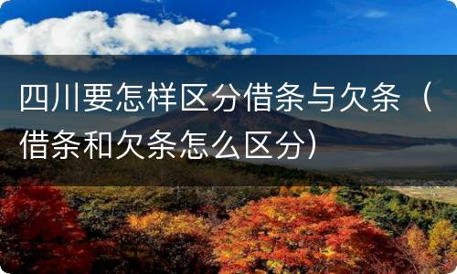 四川要怎样区分借条与欠条（借条和欠条怎么区分）
