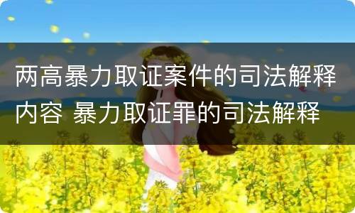 两高暴力取证案件的司法解释内容 暴力取证罪的司法解释