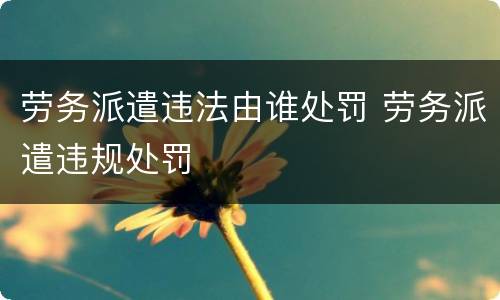 劳务派遣违法由谁处罚 劳务派遣违规处罚