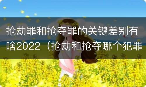 抢劫罪和抢夺罪的关键差别有啥2022（抢劫和抢夺哪个犯罪性质严重）