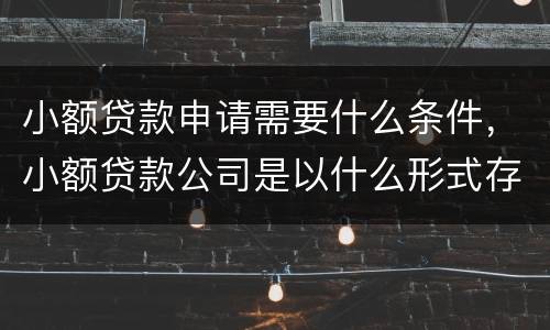 小额贷款申请需要什么条件，小额贷款公司是以什么形式存在的
