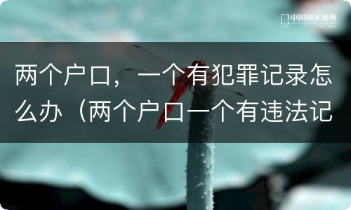 两个户口，一个有犯罪记录怎么办（两个户口一个有违法记录可以注销吗）