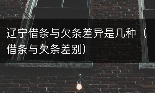 辽宁借条与欠条差异是几种（借条与欠条差别）