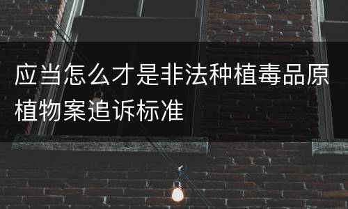 应当怎么才是非法种植毒品原植物案追诉标准