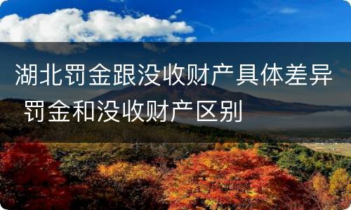 湖北罚金跟没收财产具体差异 罚金和没收财产区别