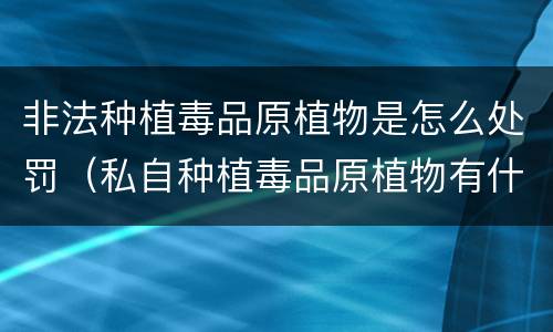 非法种植毒品原植物是怎么处罚（私自种植毒品原植物有什么罪?）