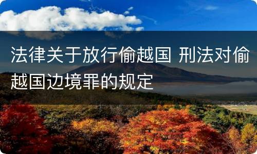 法律关于放行偷越国 刑法对偷越国边境罪的规定