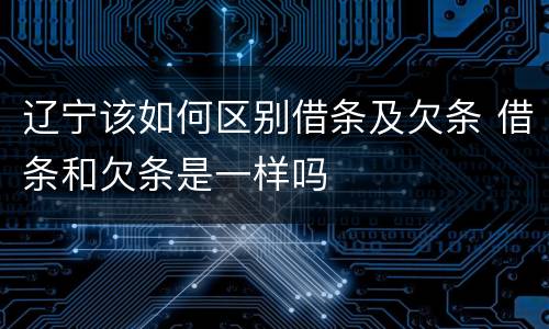 辽宁该如何区别借条及欠条 借条和欠条是一样吗