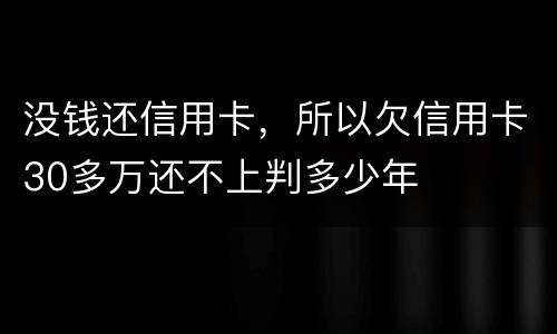 没钱还信用卡，所以欠信用卡30多万还不上判多少年
