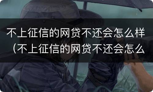 不上征信的网贷不还会怎么样（不上征信的网贷不还会怎么样吗）