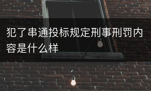 犯了串通投标规定刑事刑罚内容是什么样