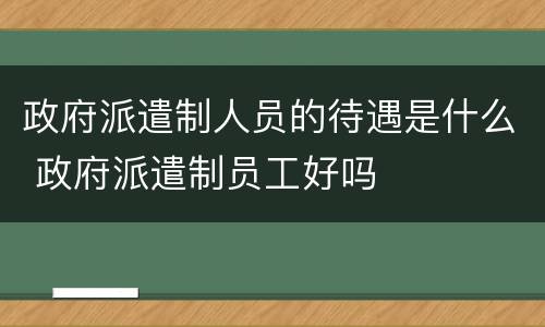 政府派遣制人员的待遇是什么 政府派遣制员工好吗