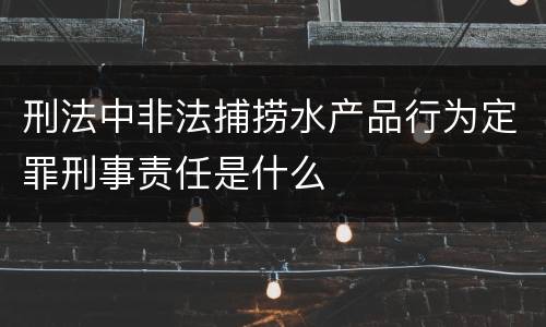 刑法中非法捕捞水产品行为定罪刑事责任是什么