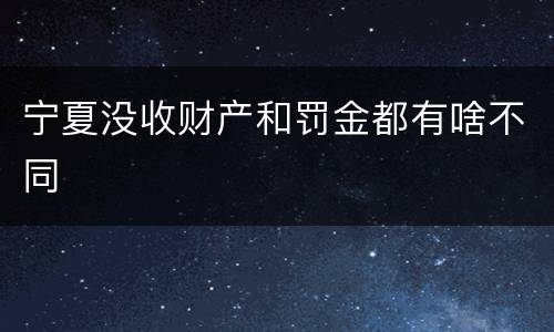 宁夏没收财产和罚金都有啥不同